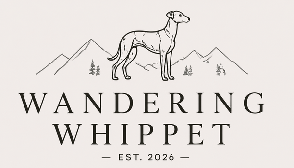 Wandering Whippet